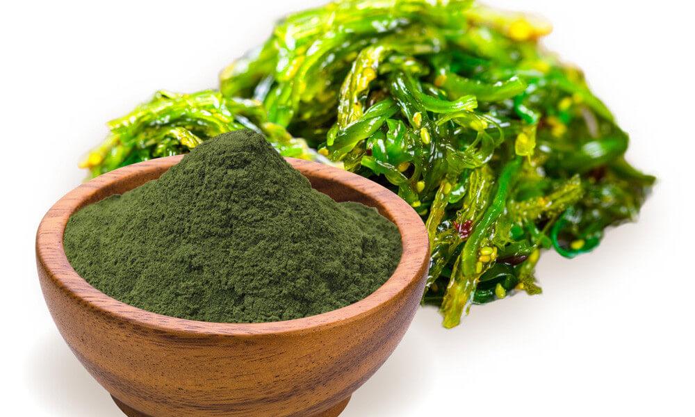 BIO spirulina alga kutyáknak