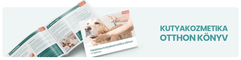 Kutyakozmetika otthon könyv PDF formában