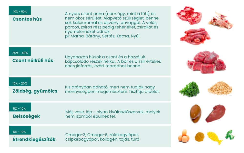 BARF etetés felnőtt korban akár kistestű akár nagytestű kutyáknak is