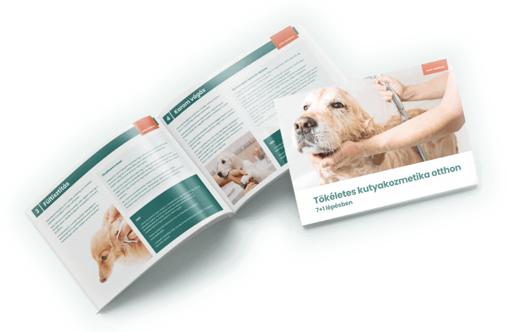 Kutyakozmetika otthon könyv