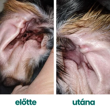 Natural kutya fülcsepp és fültisztító folyadék