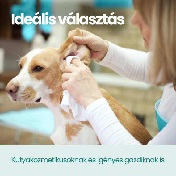 Kutya fültisztítás fülgyulladás ellen