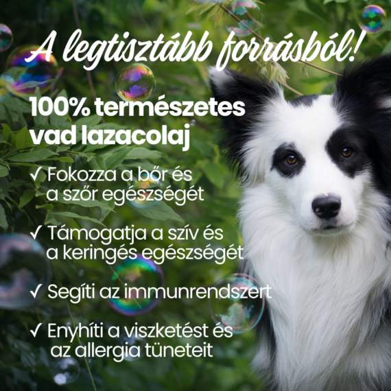 Lazacolaj kutyáknak: előnyök