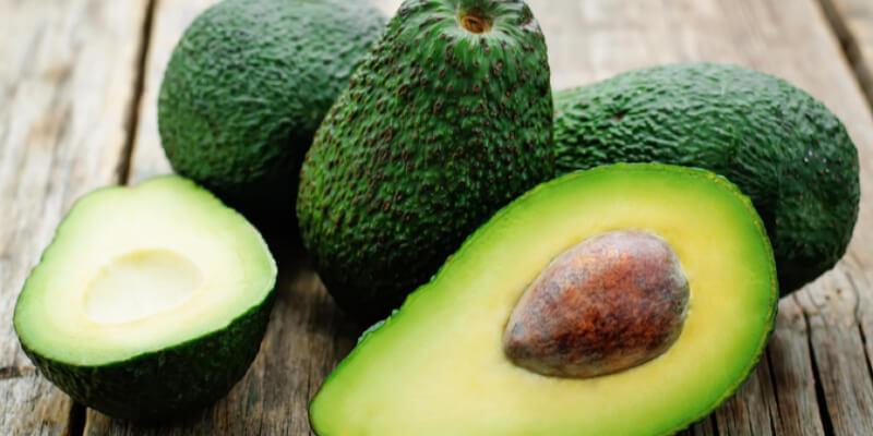 Avókádó kutyáknak